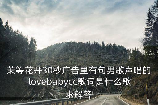 茉等花開30秒廣告里有句男歌聲唱的 lovebabycc歌詞是什么歌求解答