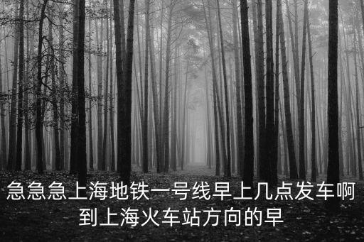上海市一號(hào)課題內(nèi)容，上海一號(hào)線 星期六早上 700 人多嗎