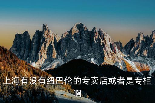 上海有沒有紐巴倫的專賣店或者是專柜啊