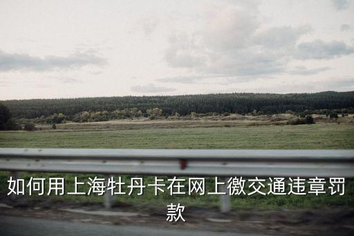 上海市網(wǎng)上處理違章，如何用上海牡丹卡在網(wǎng)上徼交通違章罰款