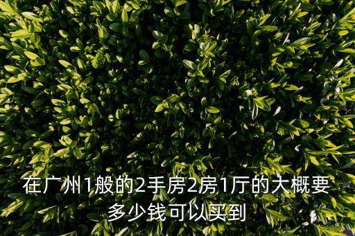 在廣州1般的2手房2房1廳的大概要多少錢可以買到