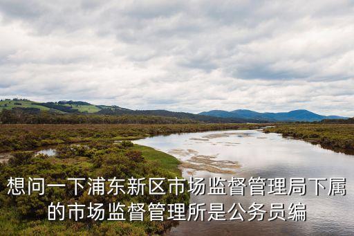 上海市南丹路市場監督所，投訴上海小吃無營業執照打什么電話