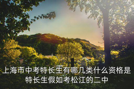 上海市藝術特長生加分樂團，上海中考 自主招生 哪些市重點高中是有鋼琴特長加分的
