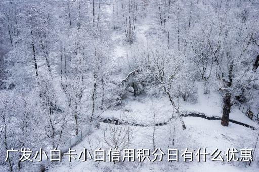 廣發(fā)小白卡小白信用積分日有什么優(yōu)惠