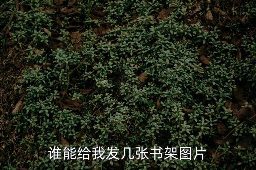 誰能給我發幾張書架圖片