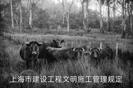 上海市文明施工費規范，建筑工程安全文明施工按實計費怎么計算