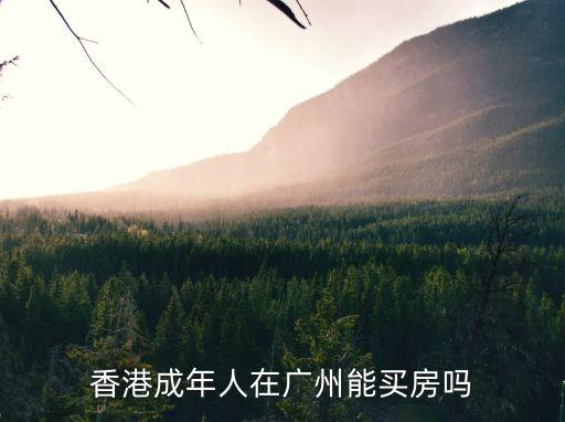香港成年人在廣州能買房嗎