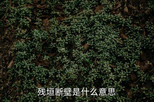 殘垣斷壁是什么意思