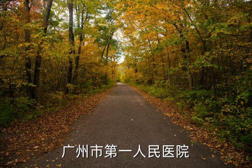 廣州第一人民醫院張鴻，廣州市第一人民醫