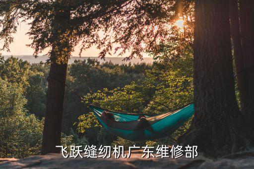 廣州佛山哪里修縫紉機，誰知道廣東省哪里有勝家縫紉機修理點