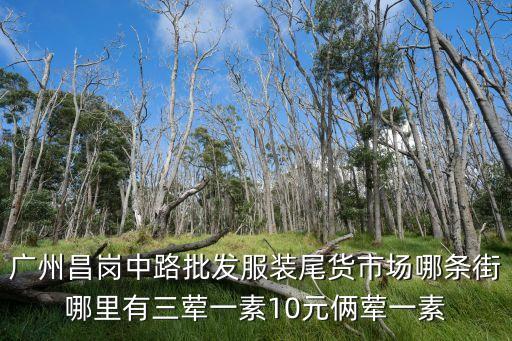 廣州昌崗中路批發服裝尾貨市場哪條街哪里有三葷一素10元倆葷一素