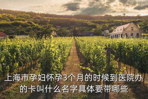 上海市孕婦懷孕3個月的時候到醫院辦的卡叫什么名字具體要帶哪些