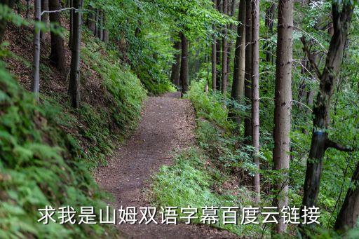 求我是山姆雙語字幕百度云鏈接