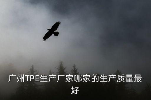 廣州TPE生產廠家哪家的生產質量最好