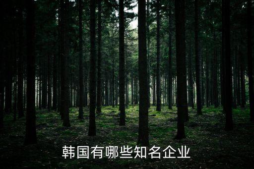 韓國(guó)企業(yè)排名，韓國(guó)有哪些知名企業(yè)
