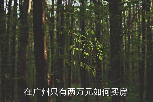 廣州南崗附近2萬以下樓盤，在廣州只有兩萬元如何買房