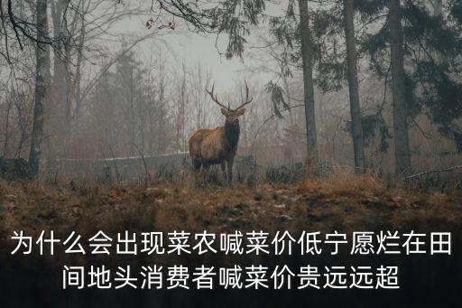 上海市蔬菜辦，上海松江區(qū)九亭鎮(zhèn)蔬菜水果店?duì)I業(yè)執(zhí)照辦理流程