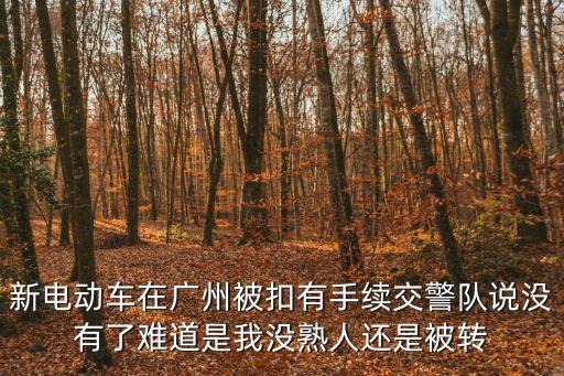 廣州電動車隊，新電動車在廣州被扣有手續交警隊說沒有了難道是我沒熟人還是被轉