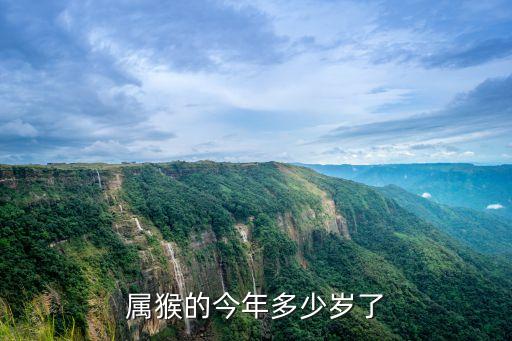 屬猴的今年多少歲了