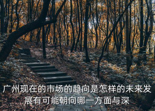 廣州現在的市場的趨向是怎樣的未來發展有可能朝向哪一方面與深