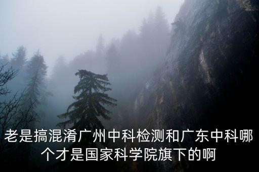 老是搞混淆廣州中科檢測和廣東中科哪個才是國家科學院旗下的啊