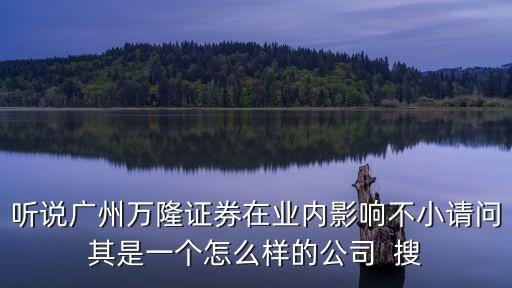 聽說廣州萬隆證券在業內影響不小請問其是一個怎么樣的公司  搜