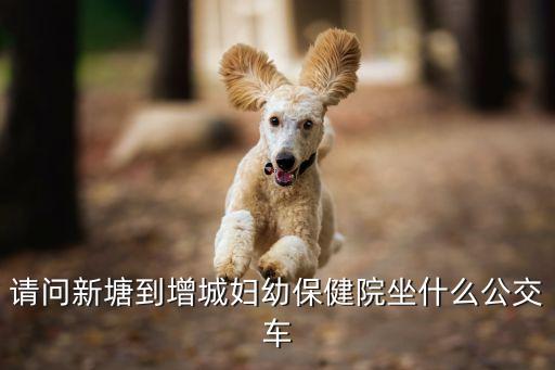 請問新塘到增城婦幼保健院坐什么公交車
