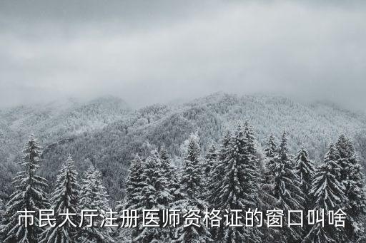 市民大廳注冊醫師資格證的窗口叫啥