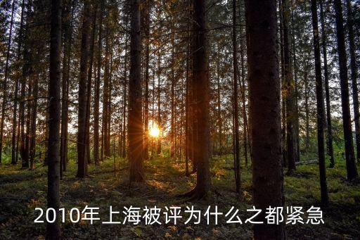 上海市組織部長 2010，2010年在上海舉行的是什么會