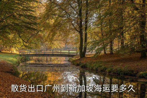 散貨出口廣州到新加坡海運要多久
