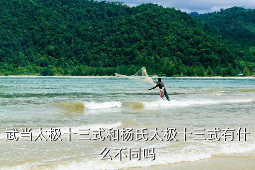 楊氏太極拳十三式，楊氏太極拳13勢(shì) 打基礎(chǔ)練得