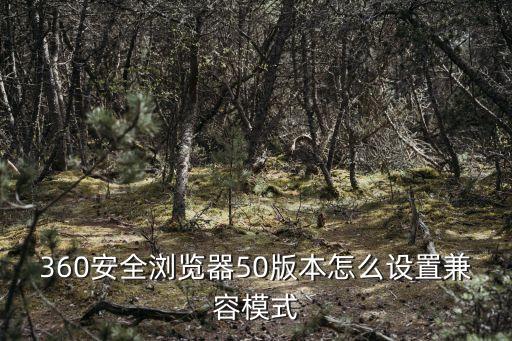 360兼容模式怎么設置，360瀏覽器兼容模式怎么設置