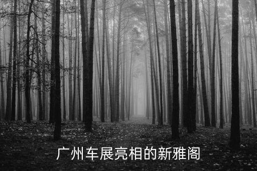 廣州車展亮相的新雅閣