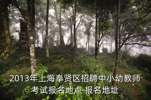 2013年上海奉賢區招聘中小幼教師考試報名地點 報名地址