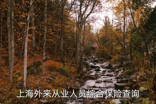 上海市社會保險信息查詢系統(tǒng)，上海外來從業(yè)人員綜合保險查詢