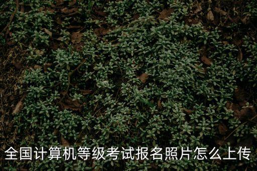 全國計算機等級考試報名照片怎么上傳