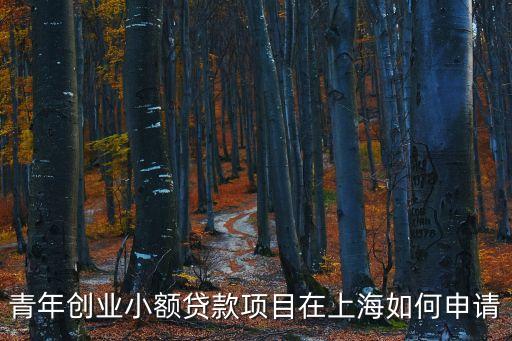 上海市項目申報首臺套，申請首臺套的好處是什么