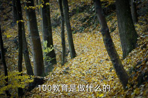 100教育是做什么的