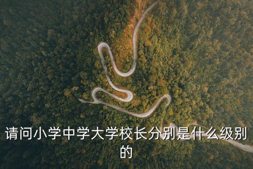 廣州公辦小學校長級別，請問小學中學大學校長分別是什么級別的