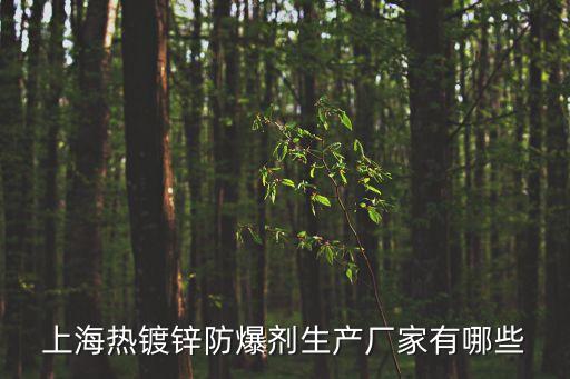 上海熱鍍鋅防爆劑生產廠家有哪些