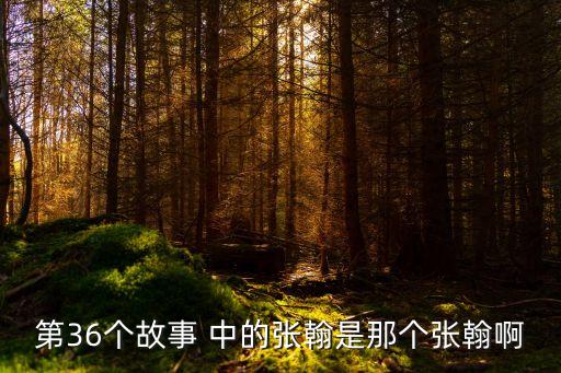 流浪神狗人，哪部電視劇里有張翰的演出