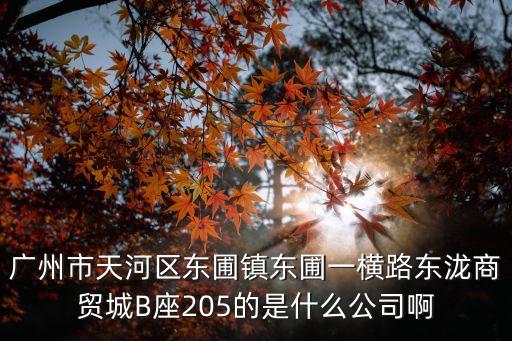 廣州尚藝匯貿易有限公司，廣州市天河區東圃鎮東圃一橫路東瀧商貿城B座205的是什么公司啊