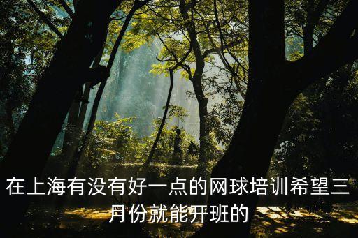 上海市網球一級裁判培訓，上海哪里可以考裁判員證書的