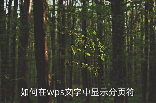 分頁符怎么設置，excel匯總處如何插入分頁符