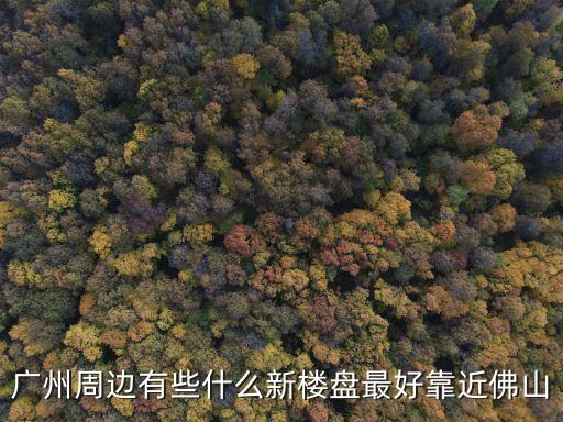 廣州應元大廈附近樓盤，廣州周邊有些什么新樓盤最好靠近佛山