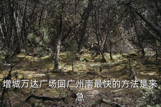 增城萬達廣場回廣州南最快的方法是來急