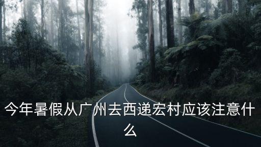 今年暑假從廣州去西遞宏村應該注意什么