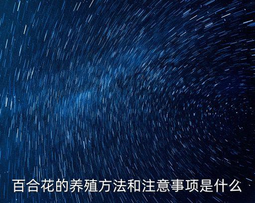 百合種植方法，百合花的養(yǎng)殖方法