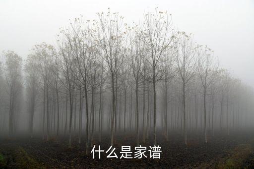 中國家譜，家族譜應該怎么寫