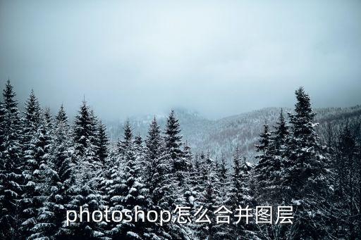 photoshop怎么合并圖層